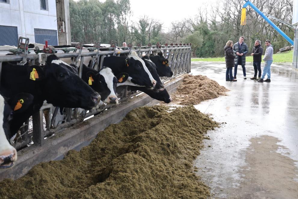 Imaxe 1 de 4 asociada á nova