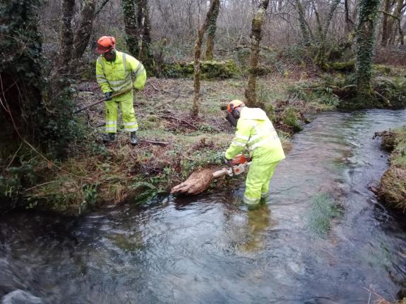 Imagen de la noticia:La Xunta realiza labores de conservación fluvial en más de un kilómetro en el río Ventoxo, en el ayuntamiento pontevedrés de...