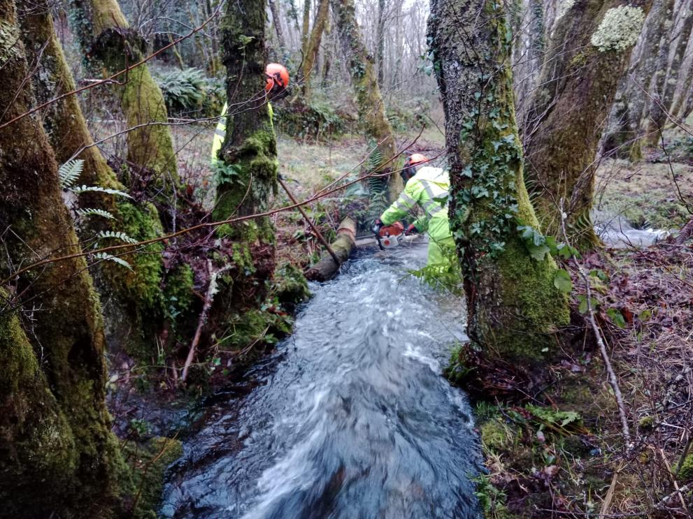 Imaxe 2 de 2 asociada á nova