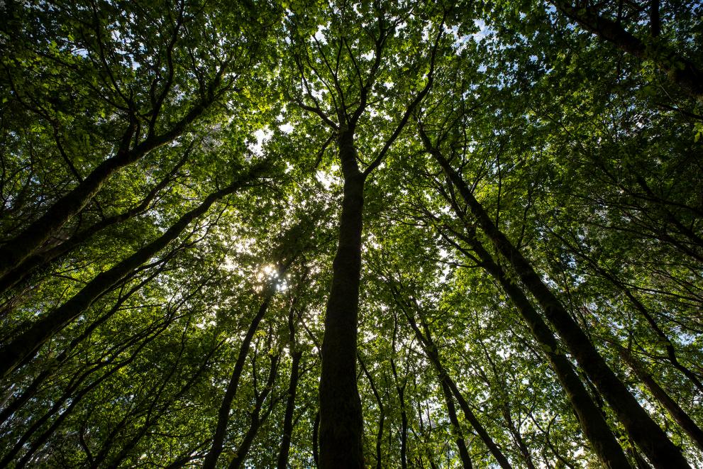 Imagen 1 de 1 asociada a la noticia