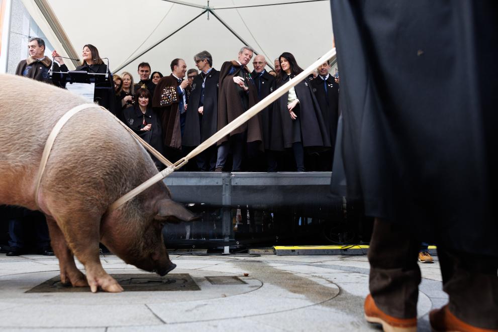 Imagen 14 de 20 asociada a la noticia