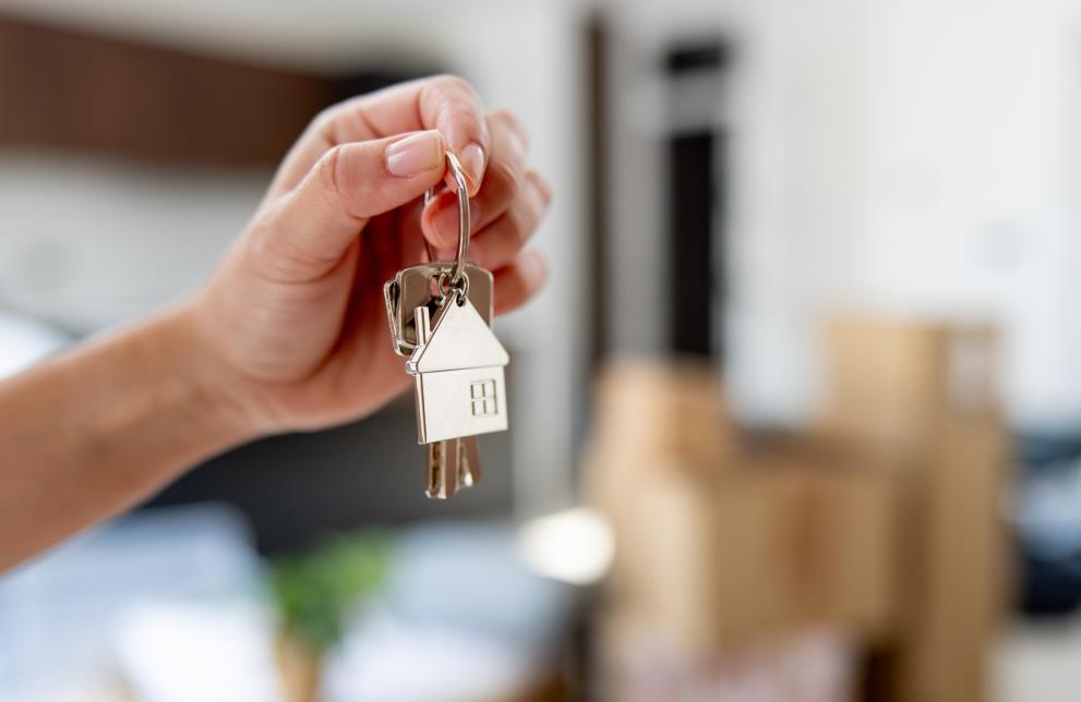 Imaxe 1 de 1 asociada á nova