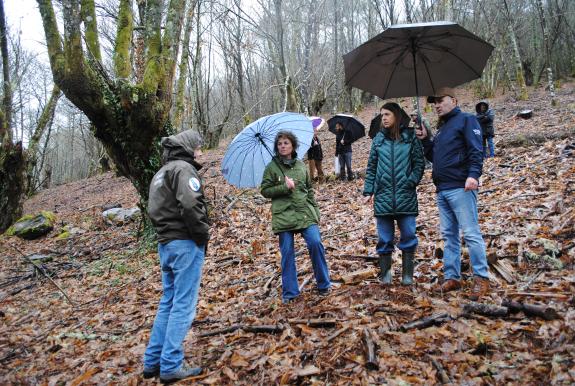 Imagen de la noticia:Medio Rural destaca a las agrupaciones forestales de gestión conjunta como herramienta para impulsar la productividad forest...