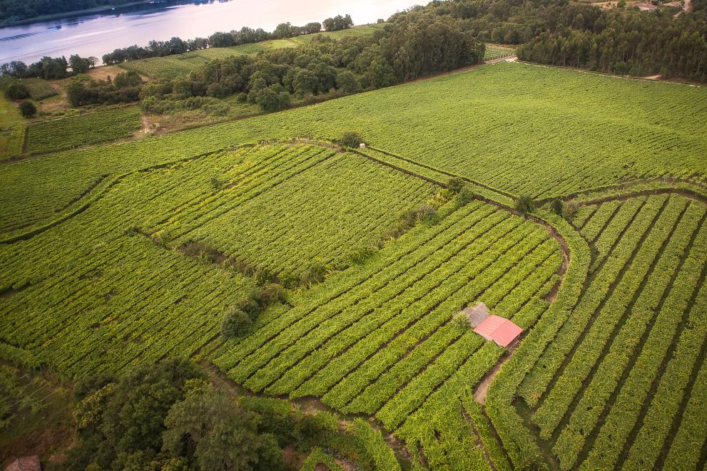 Imagen 1 de 1 asociada a la noticia