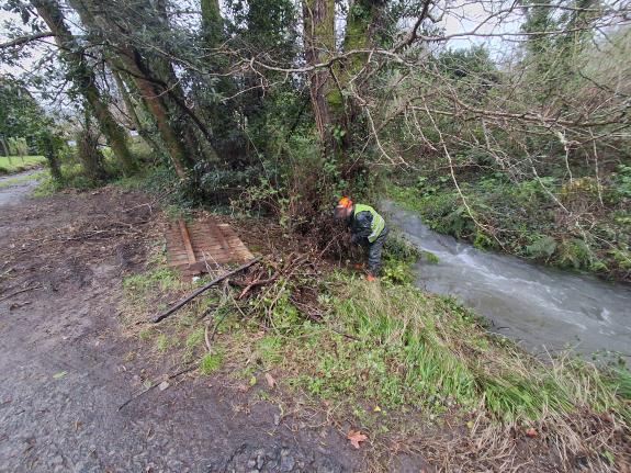 Imaxe da nova:A Xunta realiza labores de conservación fluvial de xeito inmediato en 3,3 quilómetros nos ríos Belelle e Basteiro, en Neda, ante o ...