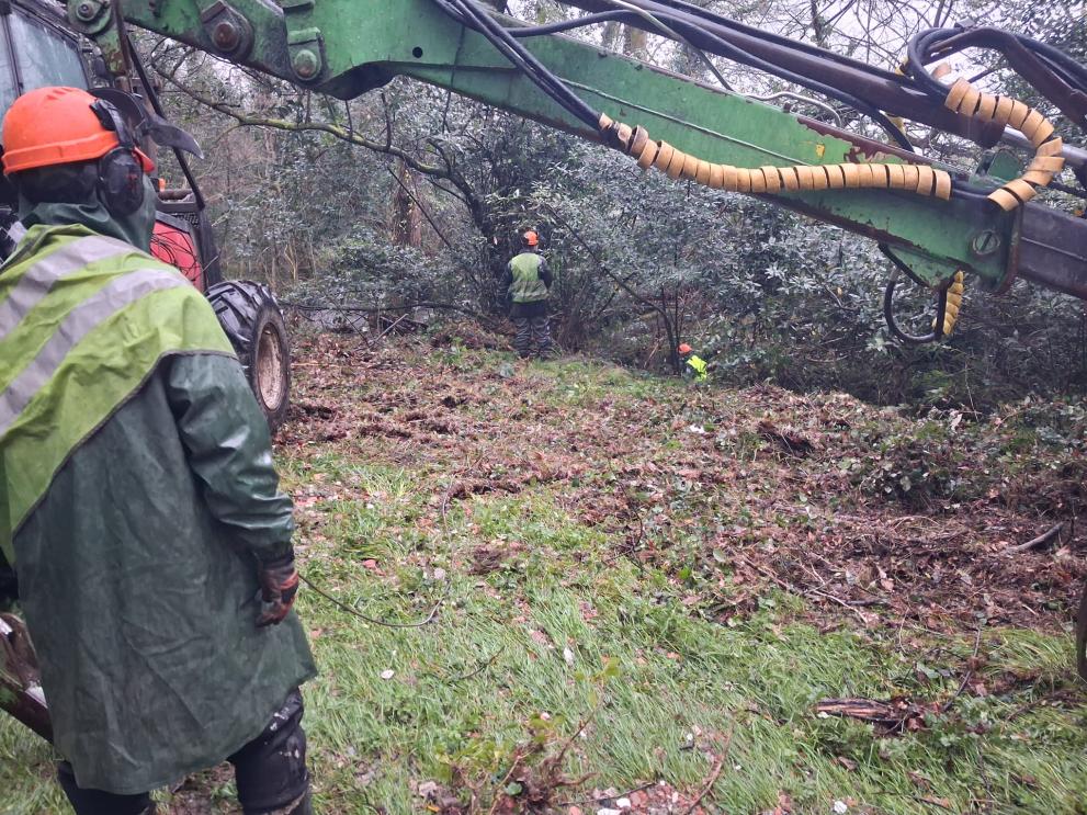 Imaxe 3 de 3 asociada á nova