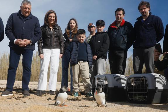 Imaxe da nova:La Xunta destaca el papel de los Centros Gallegos de Recuperación de Fauna Silvestre en la atención a animales heridos o débiles pa...