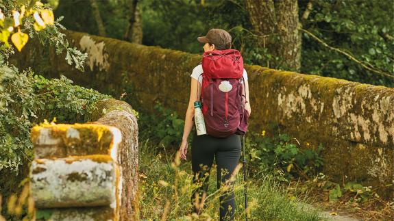 Imaxe da nova:Ábrese o prazo para o IX Premio de Investigación da Cátedra do Camiño, apoiada por Turismo de Galicia