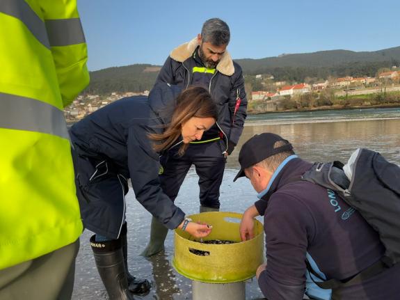 Imagen de la noticia:Villaverde continúa en la ría de Pontevedra la supervisión de los muestreos de los bancos marisqueros para evaluar el impact...