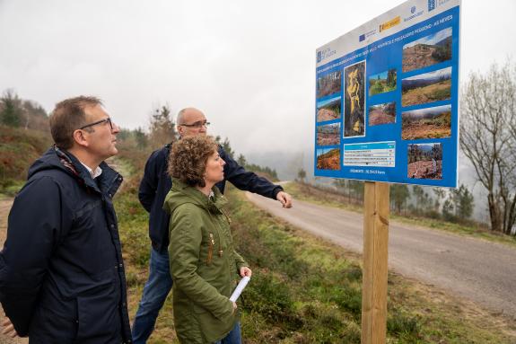 Imagen de la noticia:Medio Rural destinó cerca de 300.000 euros para la restauración de montes afectados por los incendios en el ayuntamiento de ...