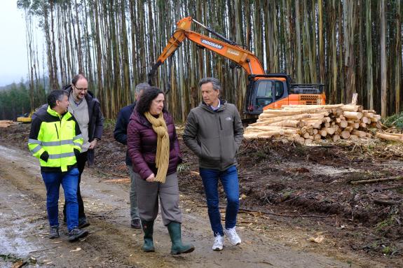 Imagen de la noticia:Belén do Campo anima a las empresas forestales a solicitar las ayudas de la Xunta para nueva maquinaria y equipación por un ...