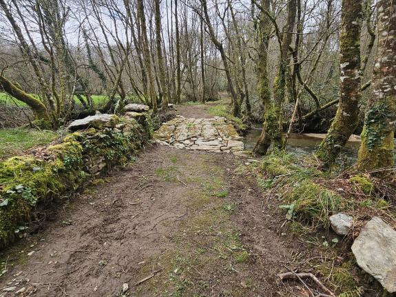 Imagen de la noticia:La Xunta destaca el escrupuloso cuidado en la protección del entorno del personal que realizó las labores de conservación fl...