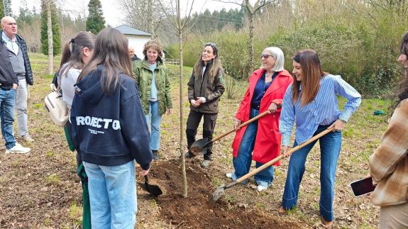 Imaxe da nova:Medio Rural fomenta o coñecemento do sector forestal na mocidade coa celebración do Día da Árbore