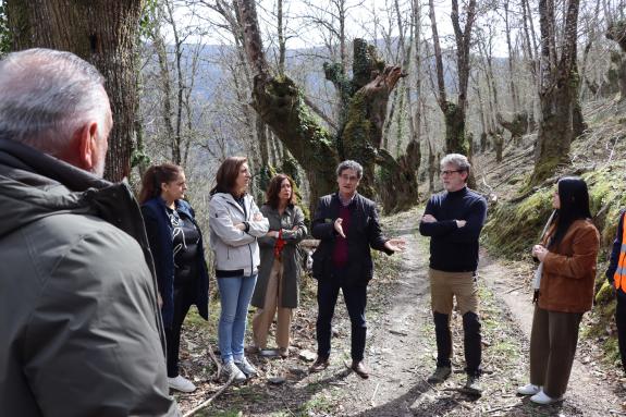 Imaxe da nova:A Xunta ultima as actuacións para a recuperación integral dos bosques do Courel cun investimento comprometido de máis de 800.000 €