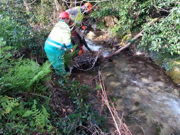 Imaxe da nova:A Xunta realiza labores de conservación fluvial en preto de 2 km en varios ríos no concello de Ribeira