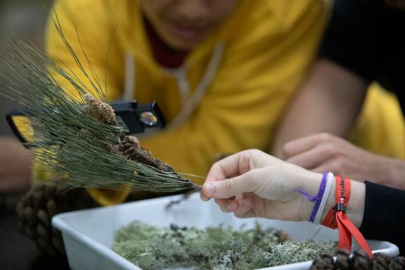 Imaxe da nova:A Xunta recoñece os proxectos de investigación de 16 colexios e institutos impulsados desde a biblioteca escolar