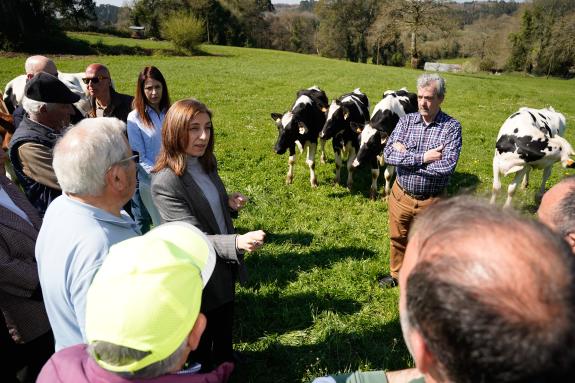 Título de la imagen.