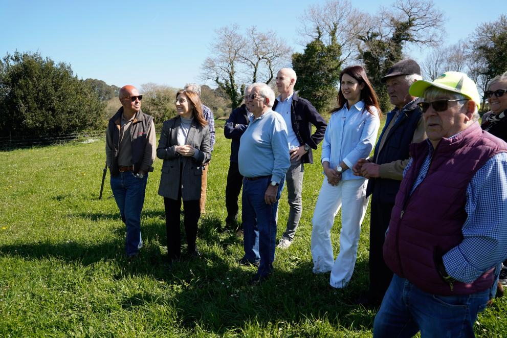 Imaxe 3 de 4 asociada á nova
