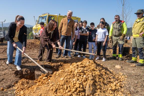 Imaxe da nova:A Xunta celebra o Día da Árbore coa plantación de especies frondosas no IES de Salvaterra