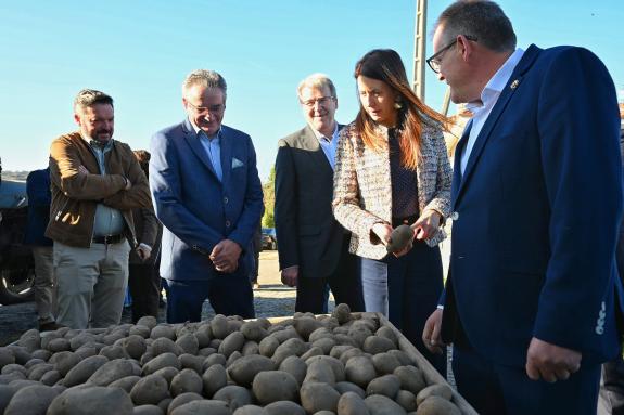 Imaxe da nova:María José Gómez enxalza o bo facer dos produtores agroalimentarios galegos nos Premios Semente