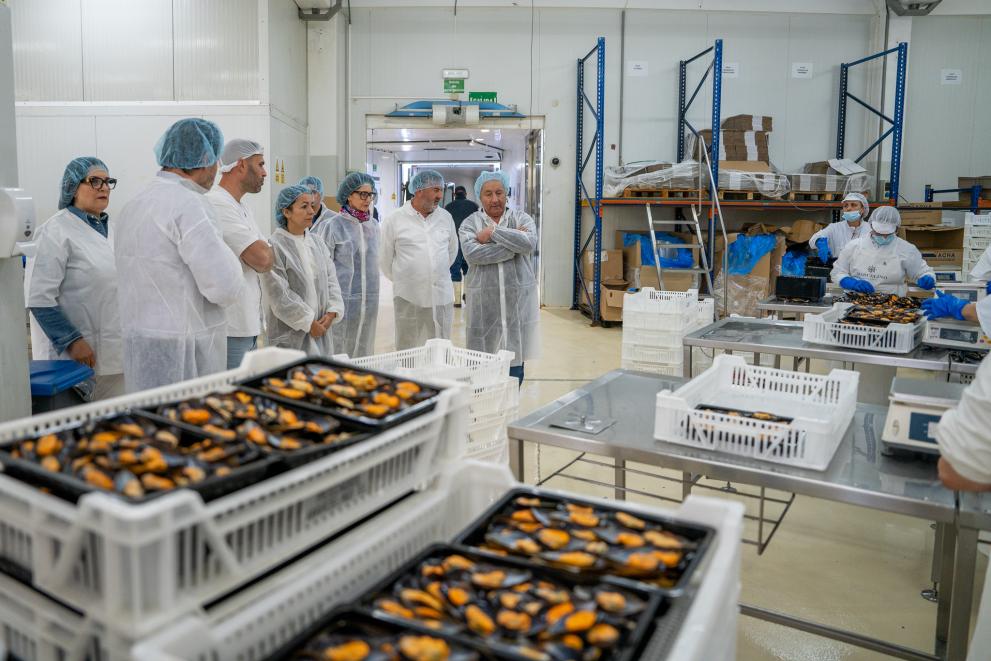 Imaxe 2 de 4 asociada á nova