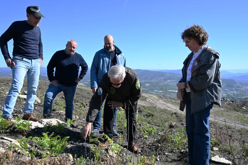 Imaxe 1 de 2 asociada á nova
