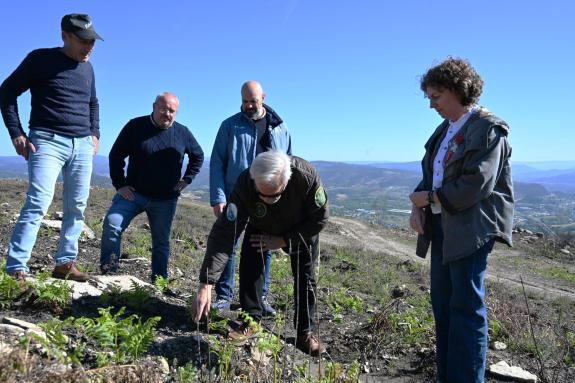Imaxe da nova:Medio Rural apoia as plantacións substitutorias en explotacións forestais afectadas polos incendios