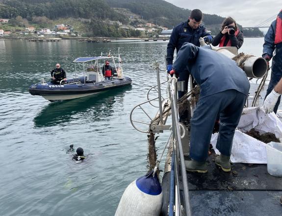 Imagen de la noticia:El proyecto europeo Free LitterAT que coordina el Cetmar consolida avances clave en la lucha contra la basura marina en el A...