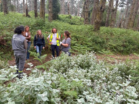 Título de la imagen.