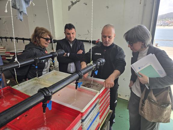 Título de la imagen.