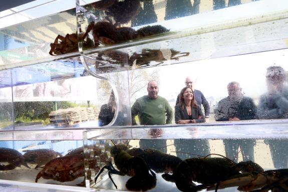 Imaxe da nova:Villaverde inaugurou a peixaría da confraría de Barallobre posta en marcha co apoio da Xunta para fomentar os produtos de proximida...