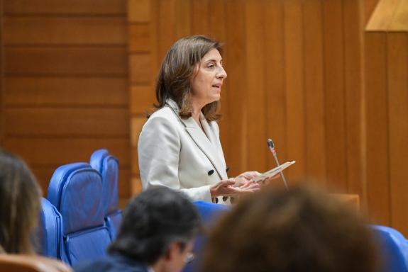 Imagen de la noticia:La Xunta defiende la necesidad de trasponer la Directiva europea de energías renovables a la normativa española para reconoc...