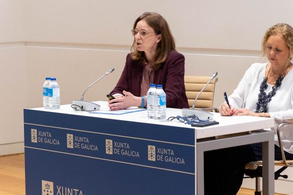 Imagen de la noticia:Xunta y CDTI informan sobre sus líneas de apoyo a la investigación e innovación en Galicia durante 2026