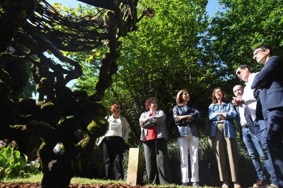 Imagen de la noticia:La Xunta concede ayudas por un importe de más de 72.000 € para ejecutar actuaciones de conservación y avance en 23 árboles y...