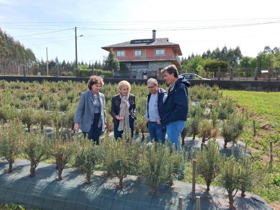 Imaxe da nova:Medio Rural salienta o papel dos viveiros públicos na conservación e mantemento dos recursos forestais