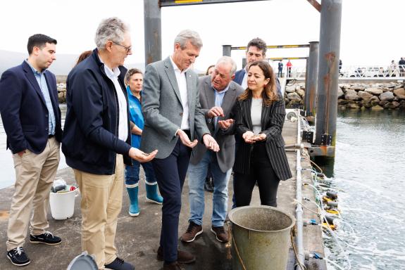Imagen de la noticia:Rueda destaca que la reapertura del criadero de bivalvos de O Vicedo refuerza la posición de Galicia en la investigación mar...