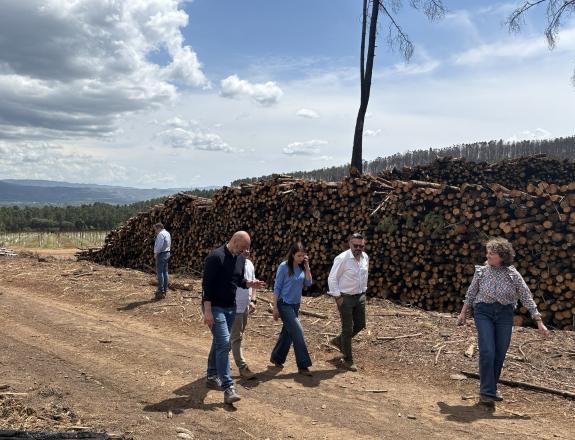 Imagen de la noticia:Medio Rural avanza en los trabajos de retirada de madera quemada con actuaciones en cerca de 1.500 hectáreas en el Ayuntamie...