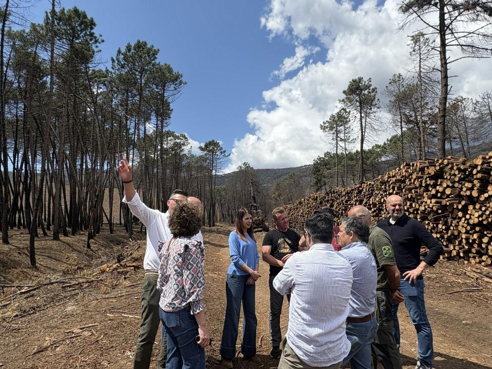 Imagen 2 de 3 asociada a la noticia
