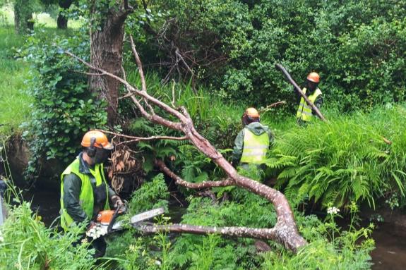 Imagen de la noticia:La Xunta realiza labores de conservación fluvial en cerca de cinco kilómetros de varios ríos en Cedeira