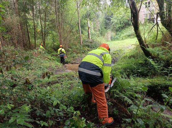 Imagen de la noticia:La Xunta realiza labores de conservación fluvial en más de 11 kilómetros de varios ríos en Viveiro