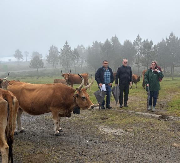 Imagen de la noticia:Medio Rural invierte cerca de 75.000 euros en la creación de un pastizal en el concello de Muros