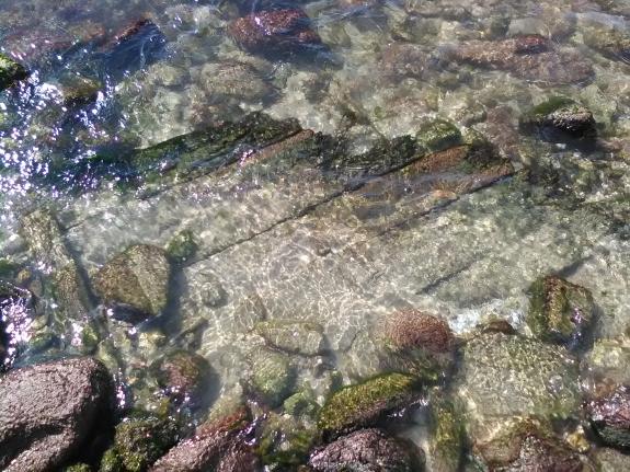 Imagen de la noticia:La Xunta impulsa una campaña subacuática en Corme para investigar los restos de un pecio
