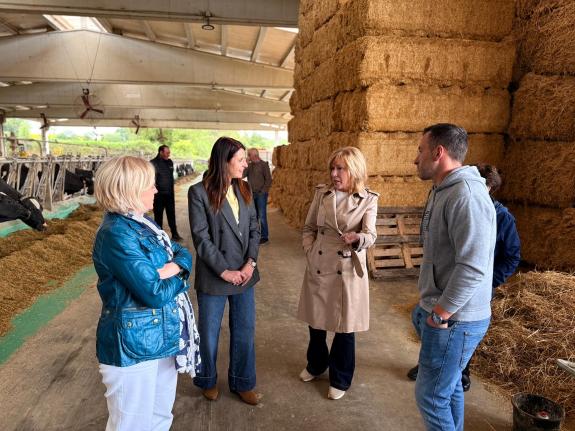 Imagen de la noticia:Medio Rural publicará a mediados de este mes una nueva línea de aportaciones con 8,6 M€ para la compra de equipamientos efic...