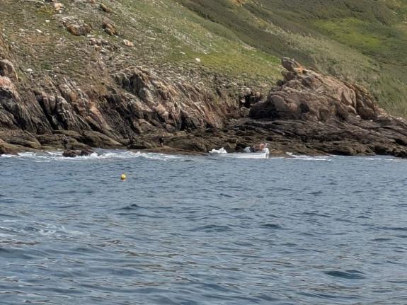 Imagen de la noticia:Gardacostas de Galicia decomisa una embarcación y 525 kilos de semilla de mejillón en la ría de Pontevedra