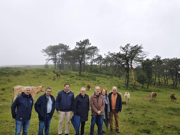 Imagen de la noticia:Medio Rural invierte más de 230.000 euros en la implantación de un nuevo pastizal en Cerdedo Cotobade