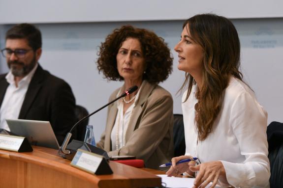 Imaxe da nova:A Xunta leva retirados máis de 600 niños de avespa velutina na actual campaña de retirada