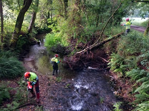 Imaxe da nova:A Xunta realiza labores de conservación fluvial en preto de 11,5 quilómetros de varios ríos nos concellos de Ames e Brión