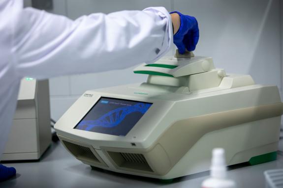 Imaxe da nova:A Xunta busca atraer 40 investigadores posdoutorais internacionais a Galicia co novo programa Talentgal