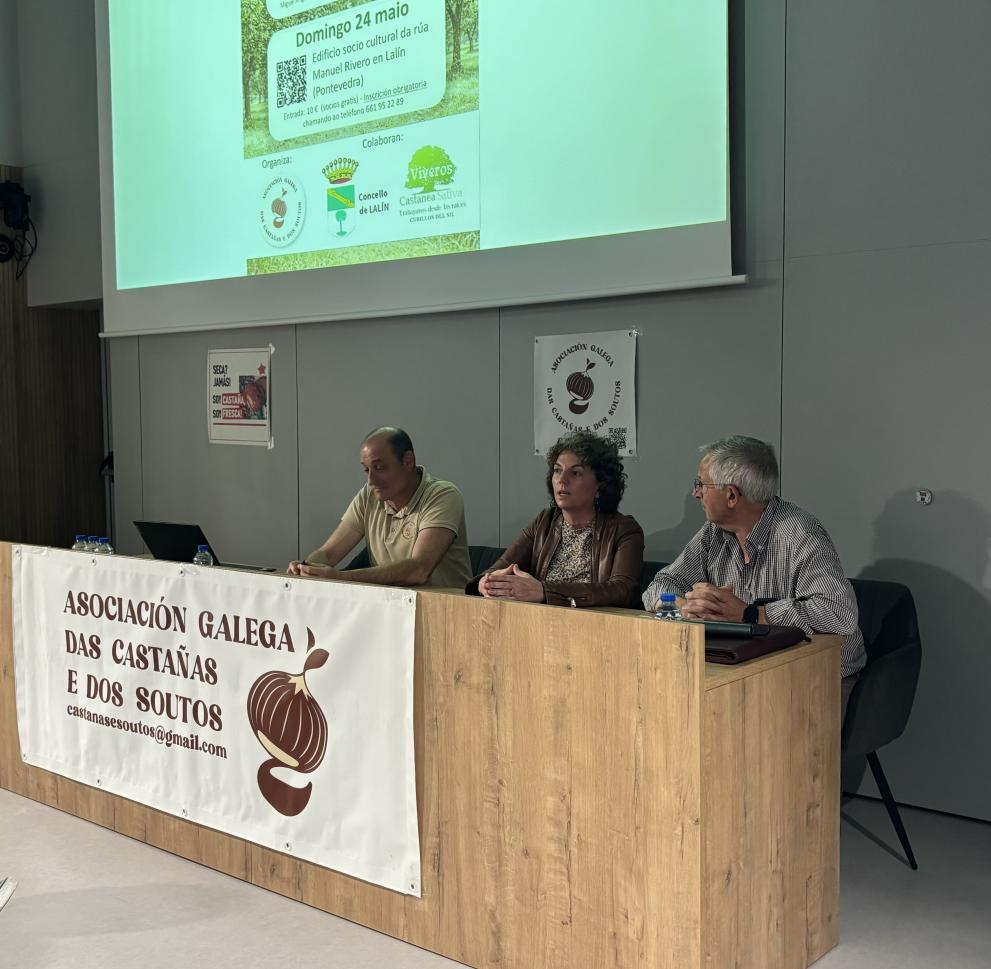 Imaxe 1 de 2 asociada á nova