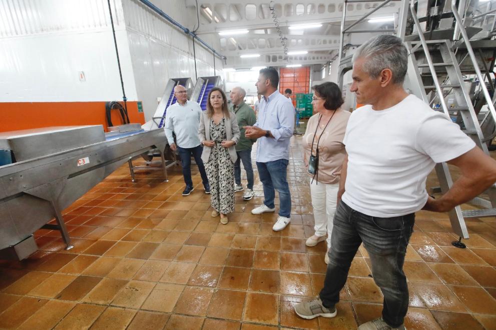 Imaxe 4 de 4 asociada á nova